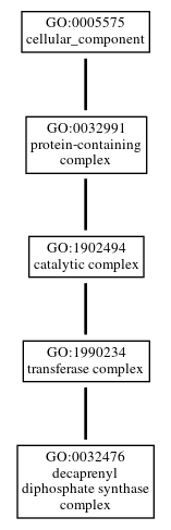 Graph of GO:0032476