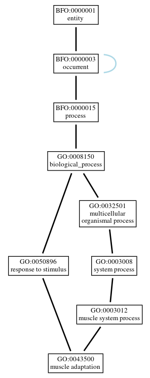 Graph of GO:0043500