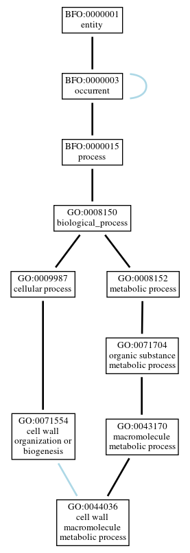 Graph of GO:0044036