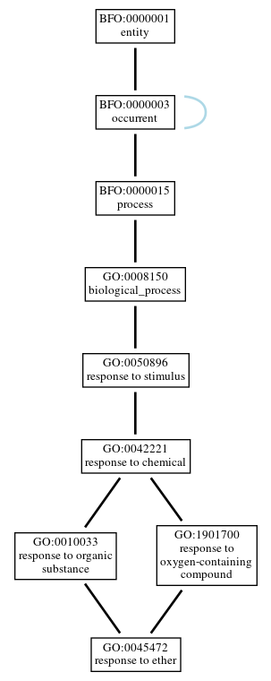 Graph of GO:0045472