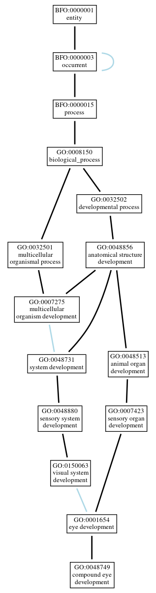 Graph of GO:0048749