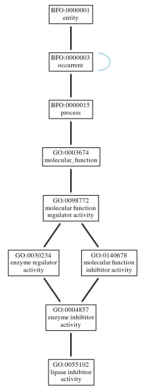 Graph of GO:0055102