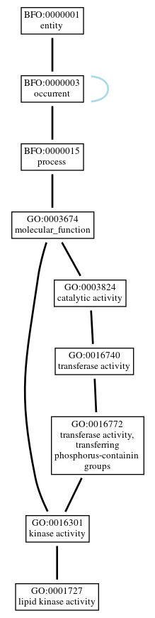 Graph of GO:0001727