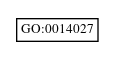 Graph of GO:0014027
