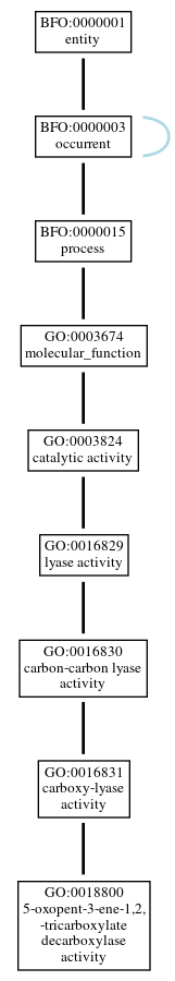 Graph of GO:0018800