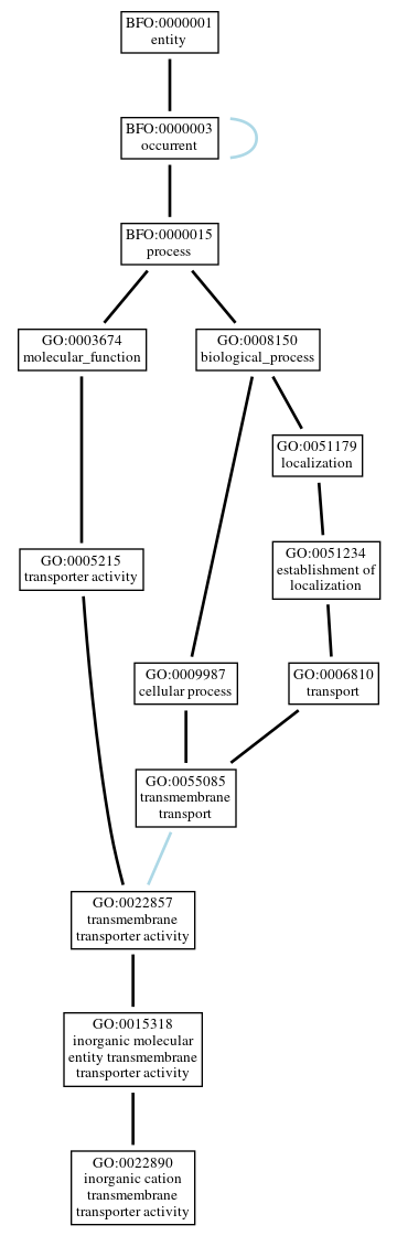 Graph of GO:0022890