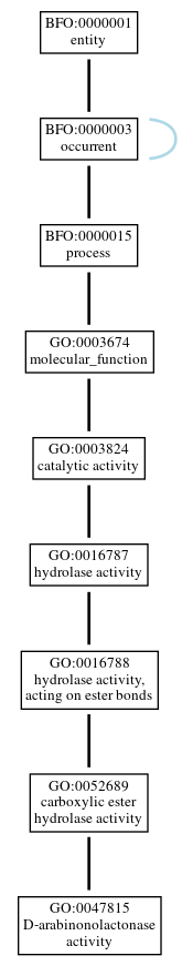 Graph of GO:0047815