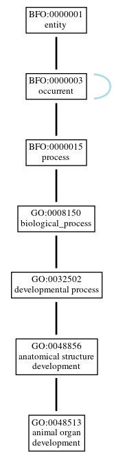 Graph of GO:0048513