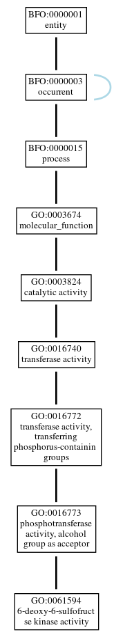 Graph of GO:0061594