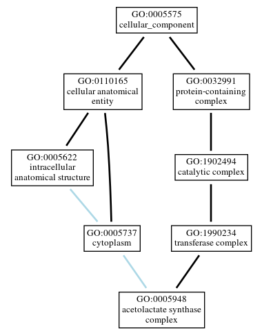Graph of GO:0005948