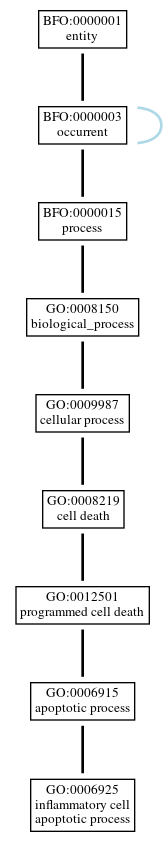 Graph of GO:0006925