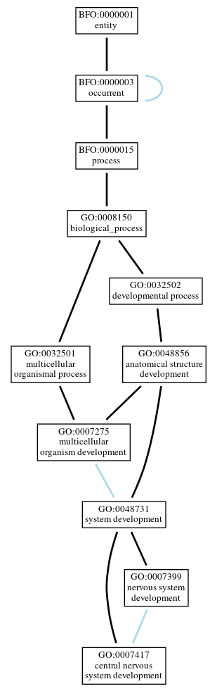 Graph of GO:0007417