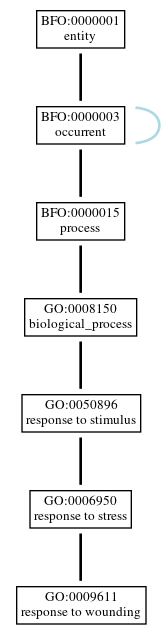 Graph of GO:0009611
