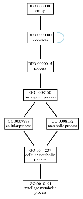 Graph of GO:0010191