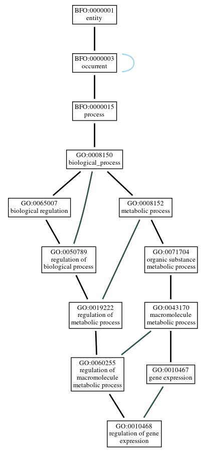 Graph of GO:0010468