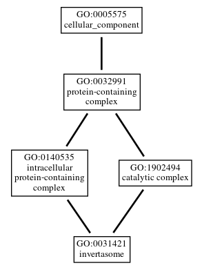 Graph of GO:0031421