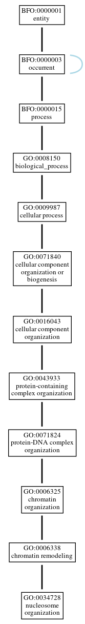 Graph of GO:0034728