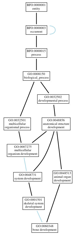 Graph of GO:0060348