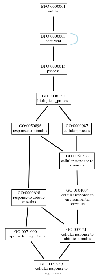 Graph of GO:0071259