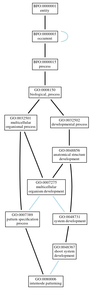 Graph of GO:0080006