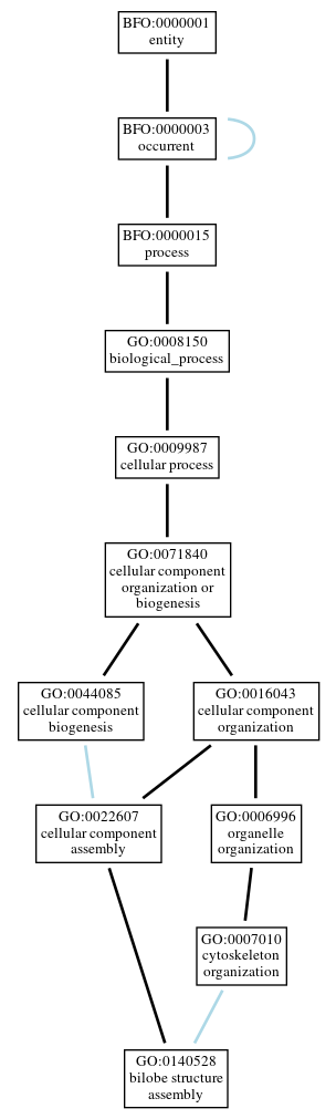 Graph of GO:0140528