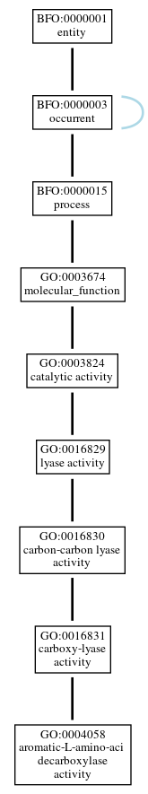 Graph of GO:0004058