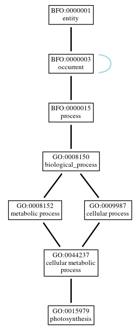 Graph of GO:0015979