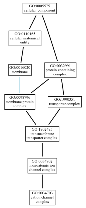 Graph of GO:0034703