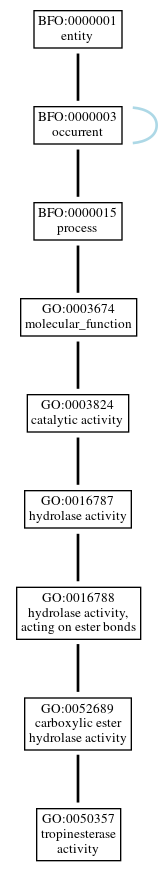 Graph of GO:0050357
