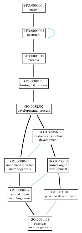 Graph of GO:0061113