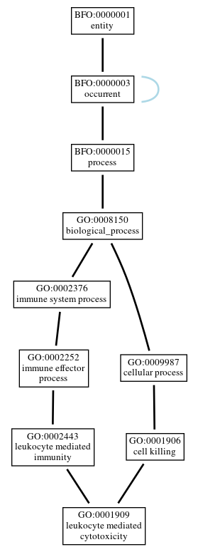 Graph of GO:0001909