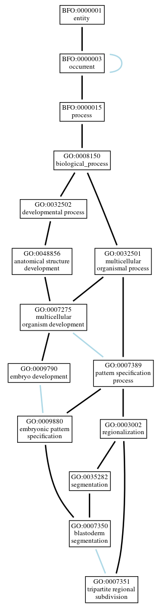 Graph of GO:0007351