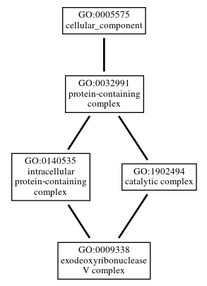 Graph of GO:0009338