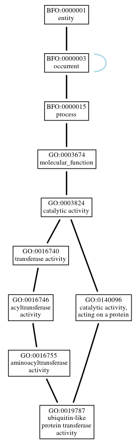 Graph of GO:0019787