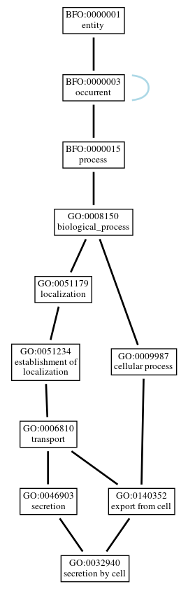 Graph of GO:0032940