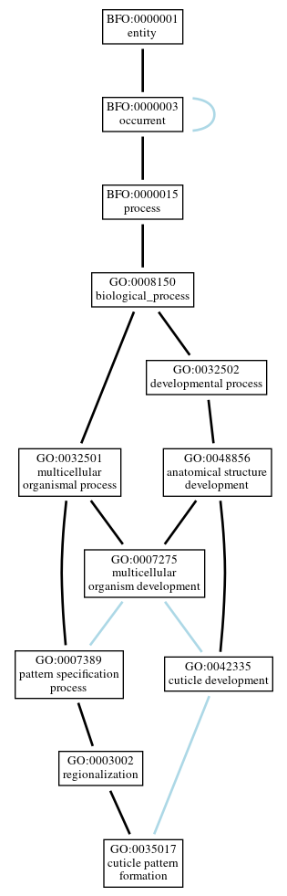 Graph of GO:0035017