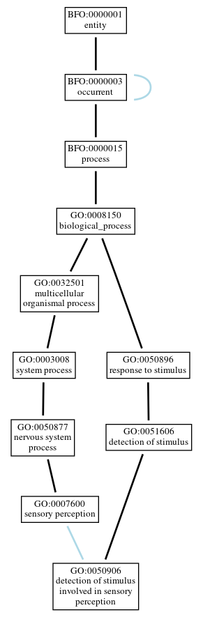 Graph of GO:0050906
