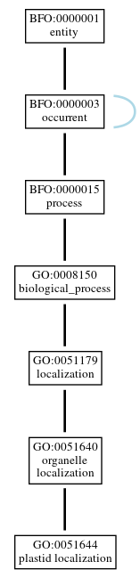 Graph of GO:0051644