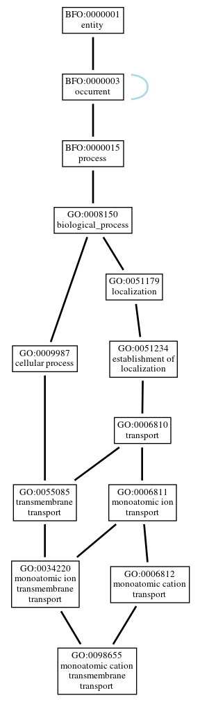 Graph of GO:0098655
