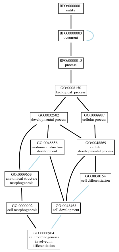 Graph of GO:0000904