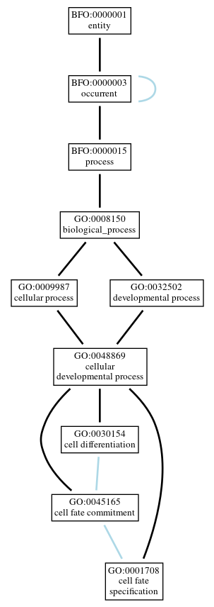 Graph of GO:0001708