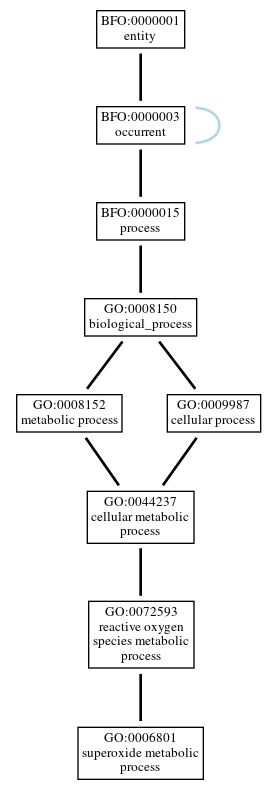 Graph of GO:0006801