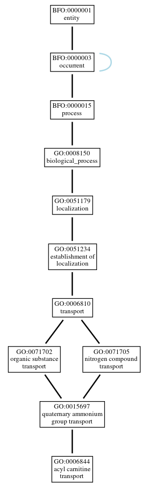 Graph of GO:0006844