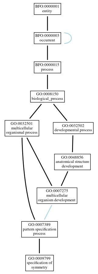 Graph of GO:0009799