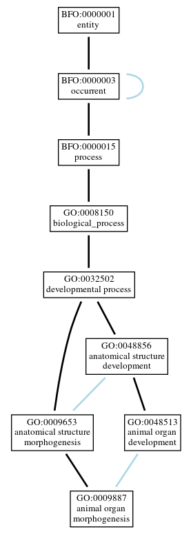 Graph of GO:0009887