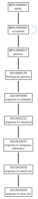 Graph of GO:0010039
