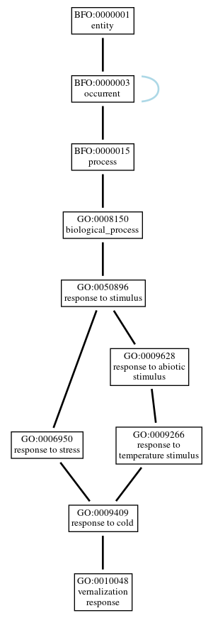 Graph of GO:0010048