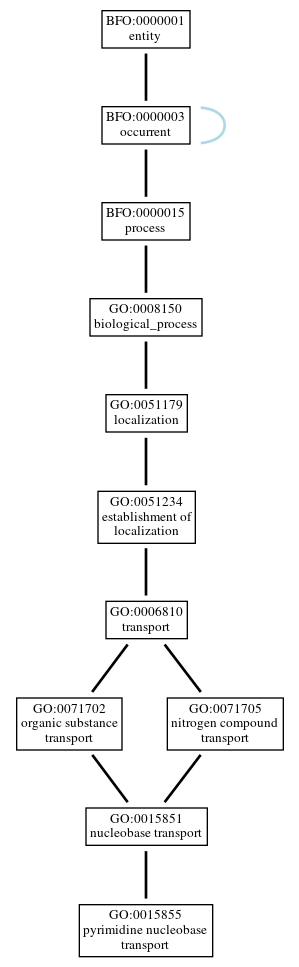 Graph of GO:0015855