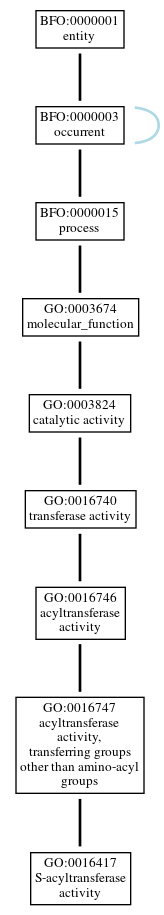 Graph of GO:0016417
