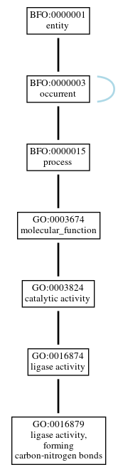 Graph of GO:0016879